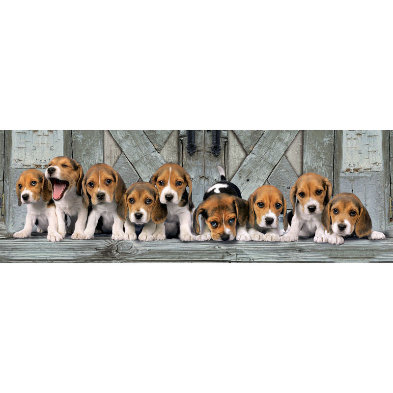 Puzzle panorama Clementoni de 1000 piezas con cachorros Beagle - 2