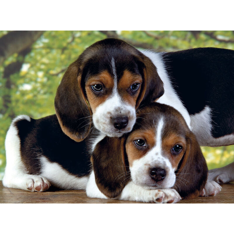 Puzzle Clementoni de 500 piezas con imagen de cachorros - 2