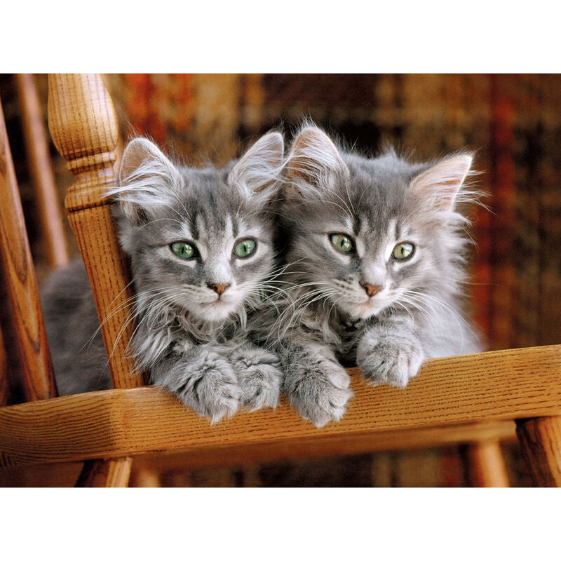 Puzzle Clementoni de 500 piezas con dos gatitos grises - 2