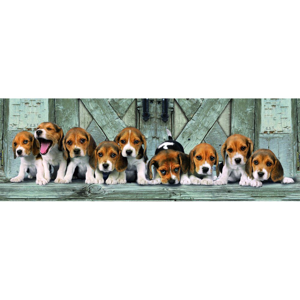 Puzzle panorámico Clementoni de 1000 piezas con cachorros Beagle - 2