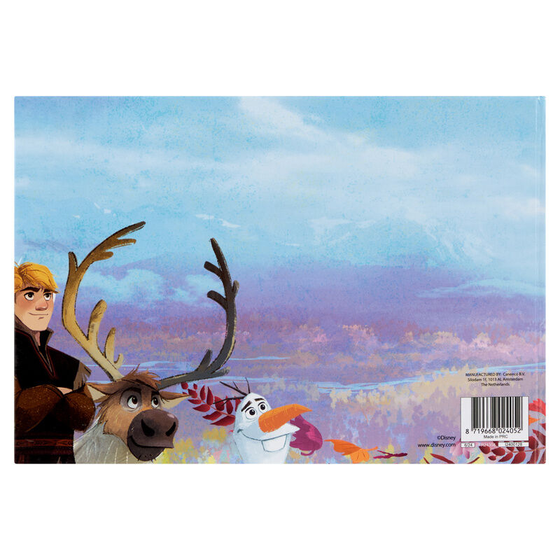 Set de actividades magnético Frozen Disney con Anna, Elsa, Olaf y pegatinas - 4