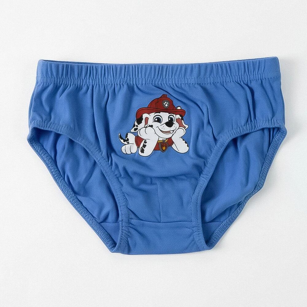 Set de cinco calzoncillos infantiles Paw Patrol en varios colores - 8