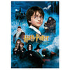 Puzzle póster de Harry Potter y la Piedra Filosofal de 1000 piezas