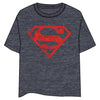 Camiseta gris de Superman DC Comics con escudo rojo