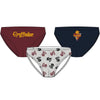 Set de tres calzoncillos slip infantiles de Harry Potter con diseños de Gryffindor