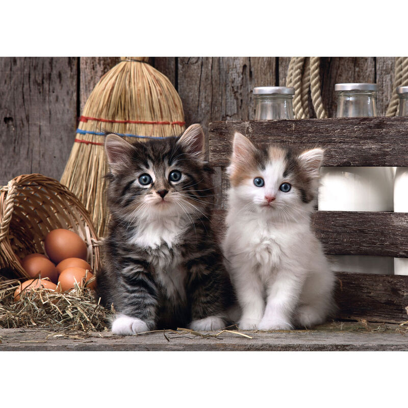 Puzzle Clementoni Lovely Kittens de 1000 piezas con dos gatitos - 2