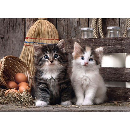 Puzzle Clementoni Lovely Kittens de 1000 piezas con dos gatitos - 2