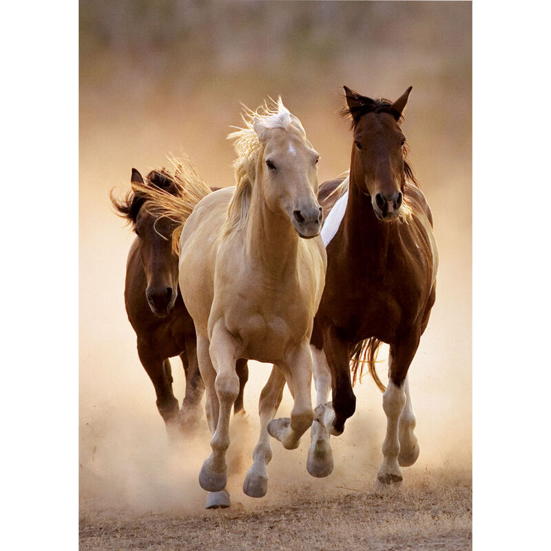 Puzzle Clementoni de 1000 piezas con caballos corriendo - 2