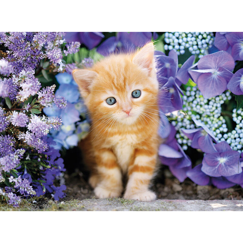 Puzzle Clementoni de 500 piezas con un gato rubio entre flores moradas - 2