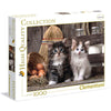 Puzzle Clementoni Lovely Kittens de 1000 piezas con dos gatitos
