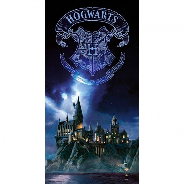 Póster de cristal de Hogwarts con el castillo de Harry Potter de noche