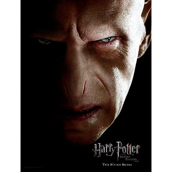 Póster de cristal de Voldemort de Harry Potter en formato 30 x 40 cm