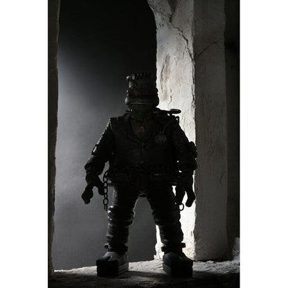 Figura articulada NECA de Raphael como monstruo de Frankenstein - 5