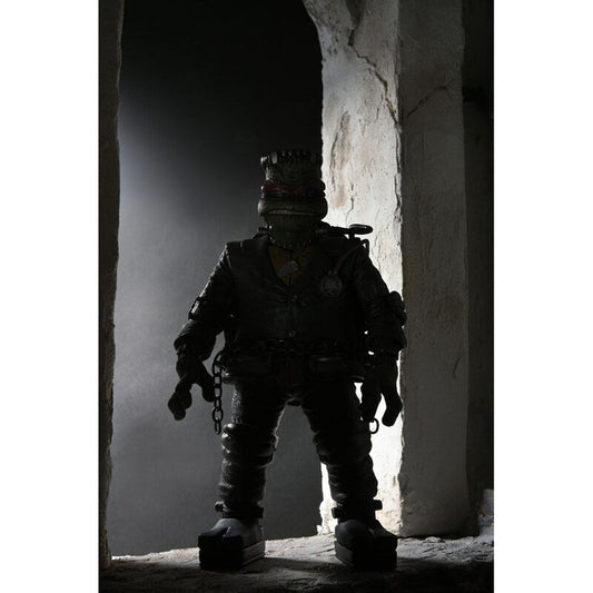 Figura articulada NECA de Raphael como monstruo de Frankenstein - 5