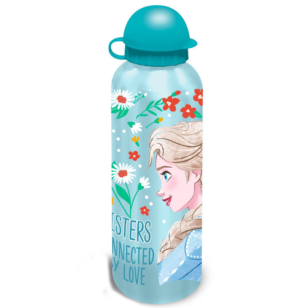 Cantimploras de aluminio Frozen Disney de 500 ml con diseños surtidos - 5