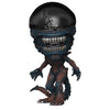 Figura FUNKO POP! Scorched Xenomorph de Alien: Romulus