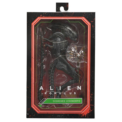 Figura articulada Scorched Xnomorph de Alien: Romulus de NECA - 2