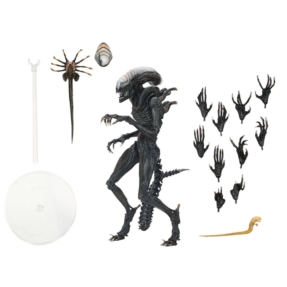 Figura articulada Scorched Xnomorph de Alien: Romulus de NECA - 3