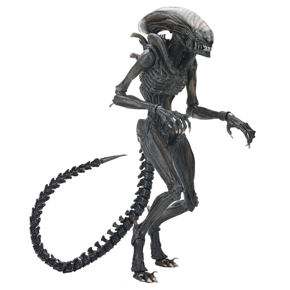 Figura articulada Scorched Xnomorph de Alien: Romulus de NECA - 4