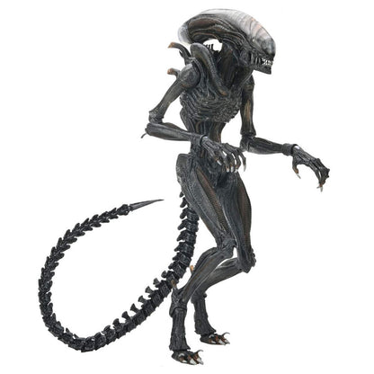 Figura articulada Scorched Xnomorph de Alien: Romulus de NECA - 4