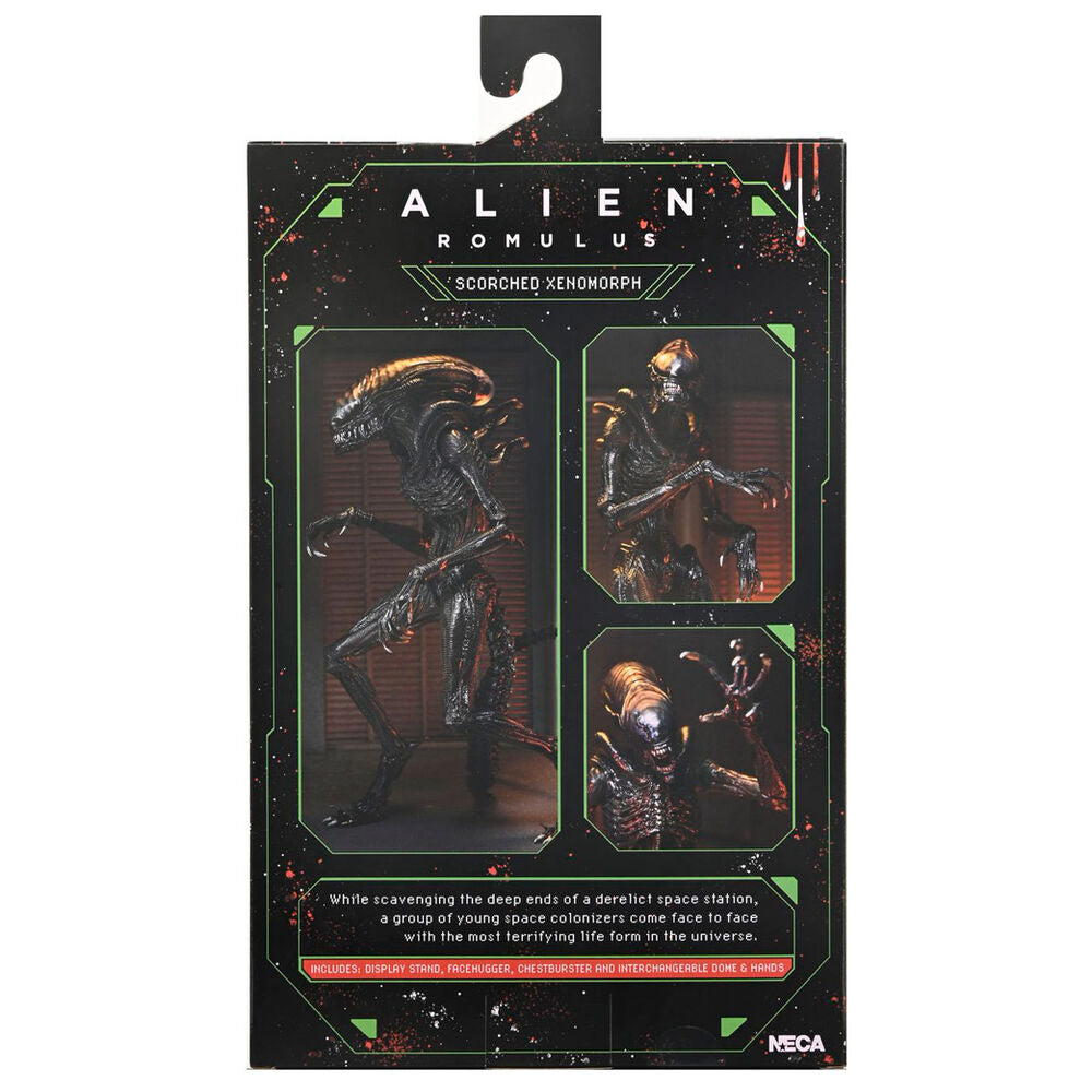 Figura articulada Scorched Xnomorph de Alien: Romulus de NECA - 5