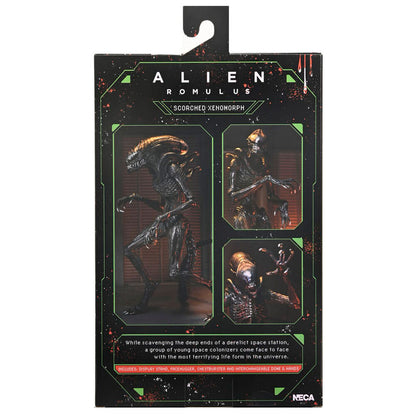 Figura articulada Scorched Xnomorph de Alien: Romulus de NECA - 5