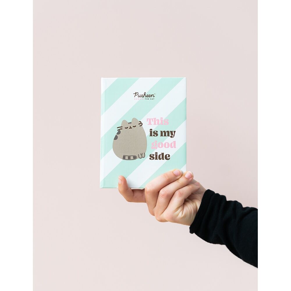 Álbum de fotos Pusheen con rayas verde menta y mensaje en portada - 4