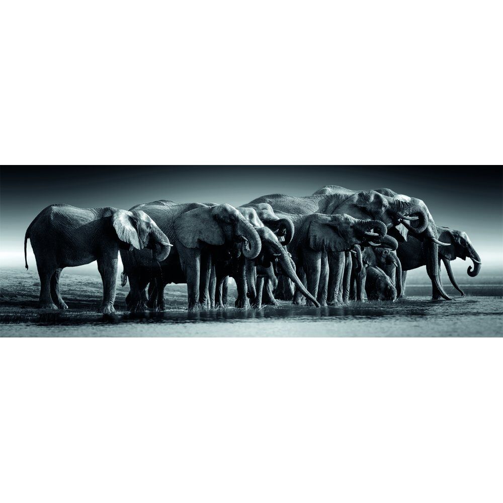 Puzzle panorámico Clementoni Herd of Giants de 1000 piezas con elefantes - 2
