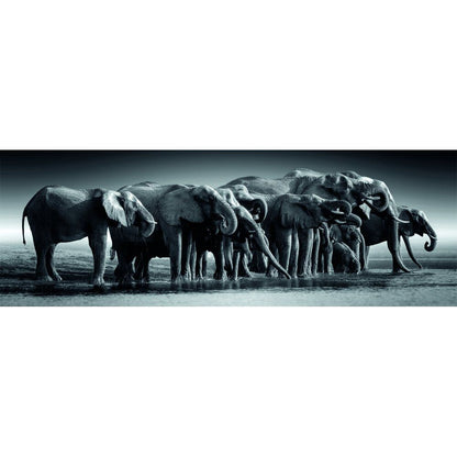 Puzzle panorámico Clementoni Herd of Giants de 1000 piezas con elefantes - 2