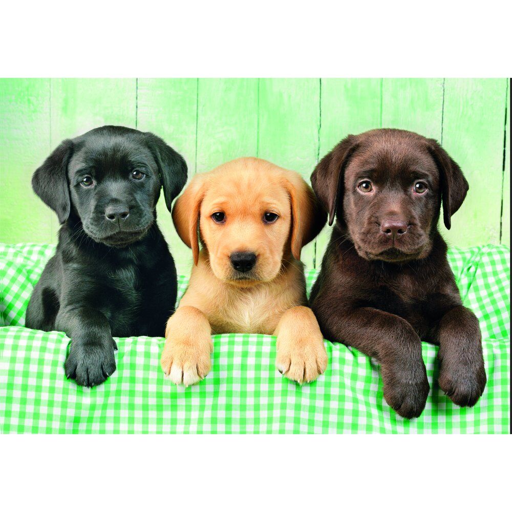 Puzzle Clementoni de 1000 piezas con tres cachorros - 2