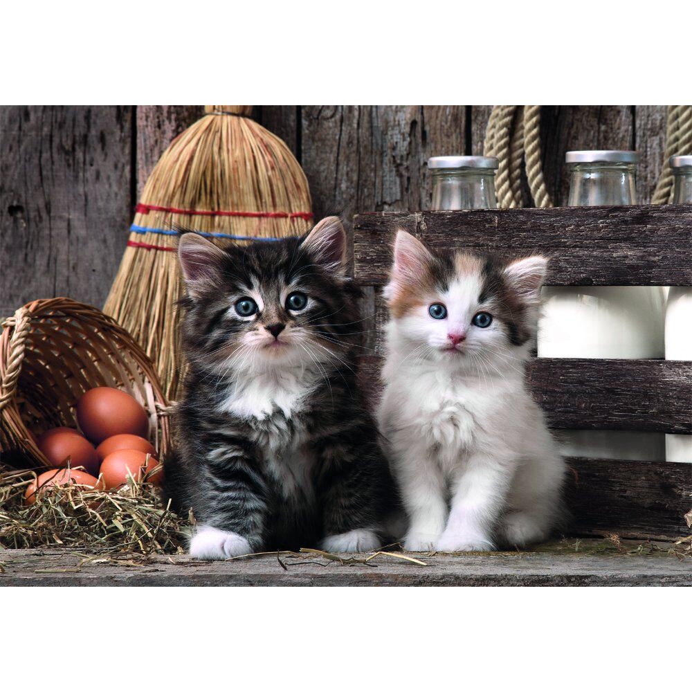 Caja del puzzle Clementoni Lovely Kittens de 1000 piezas con dos gatitos - 2