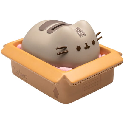 Hucha Pusheen dentro de una caja con borde naranja