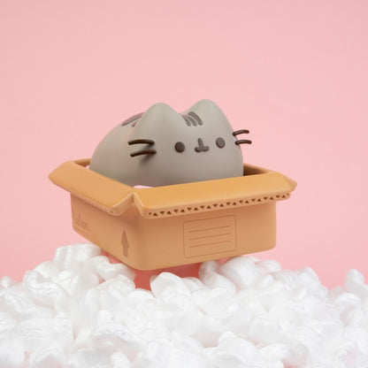 Hucha Pusheen dentro de una caja con borde naranja - 3