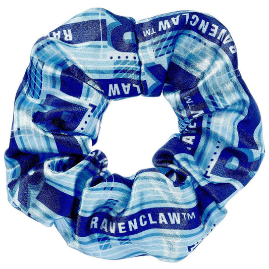 Coletero azul Ravenclaw de Harry Potter - 2