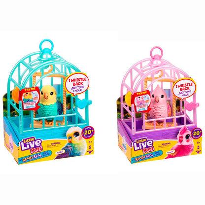 Little Live Pets Mi Pájaro Real con jaula en surtido de colores