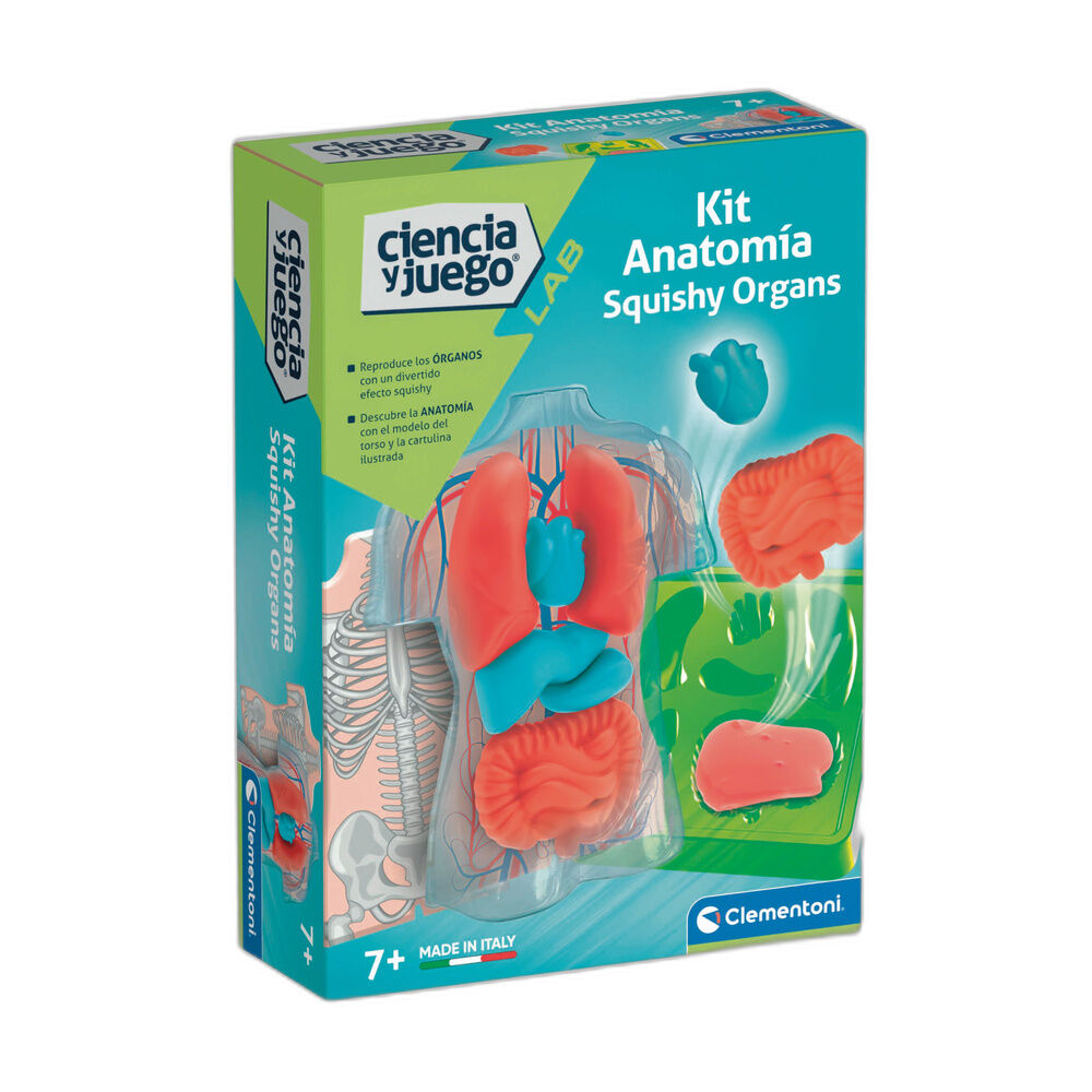 Kit Clementoni de anatomía con órganos squishy