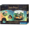 Set Clementoni Terrario Harry Potter con la cabaña de Hagrid
