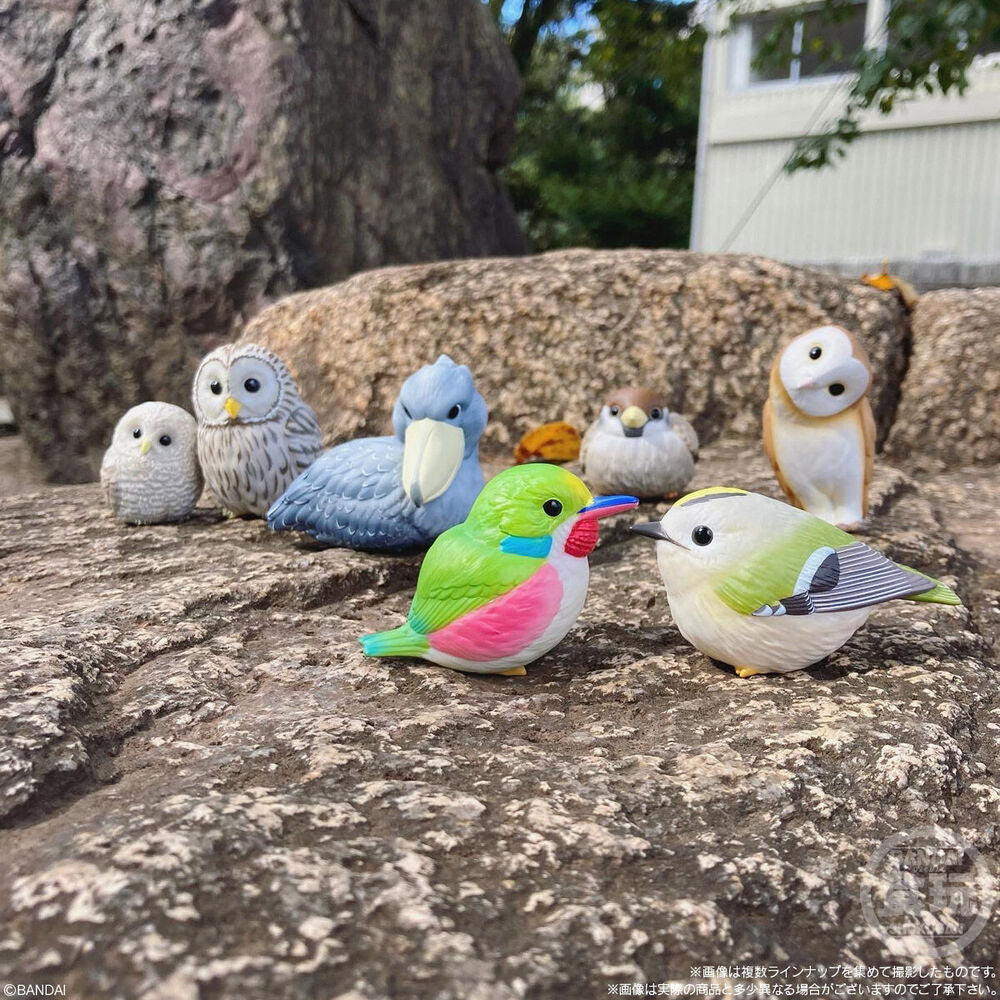 Figuras BANDAI Birds Tenori Friends de aves coloridas - 6