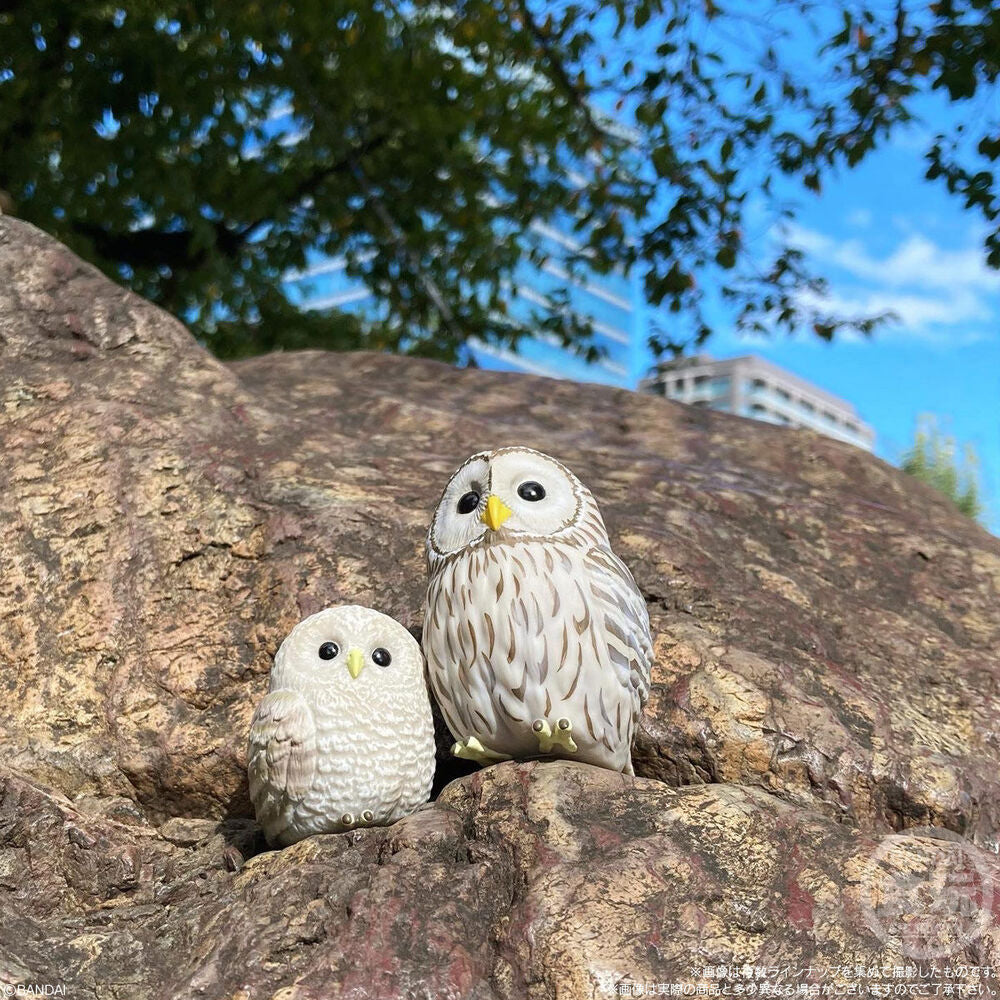 Figuras BANDAI Birds Tenori Friends de aves coloridas - 11
