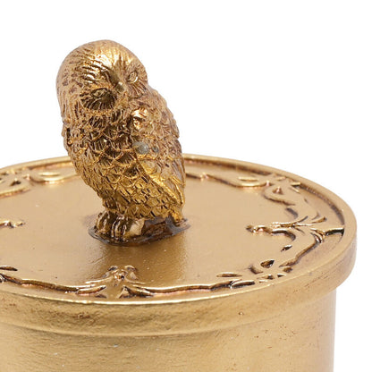 Joyero dorado de resina con figura 3D de Hedwig - 3