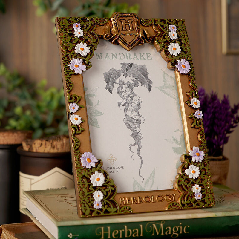 Marco de fotos Harry Potter de Herbología con flores y escudo de Hogwarts - 4