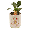 Maceta 3D de cerámica de Winnie the Pooh con planta artificial