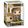 Figura Funko POP! de Samwise Gamgee en caja