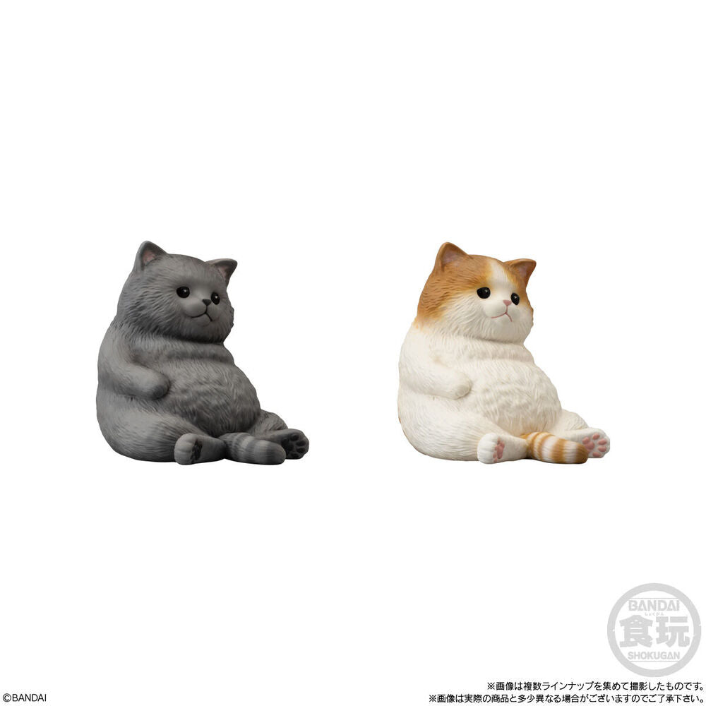 Figuras Mocchiri Kororin de gatos regordetes en varios colores - 3