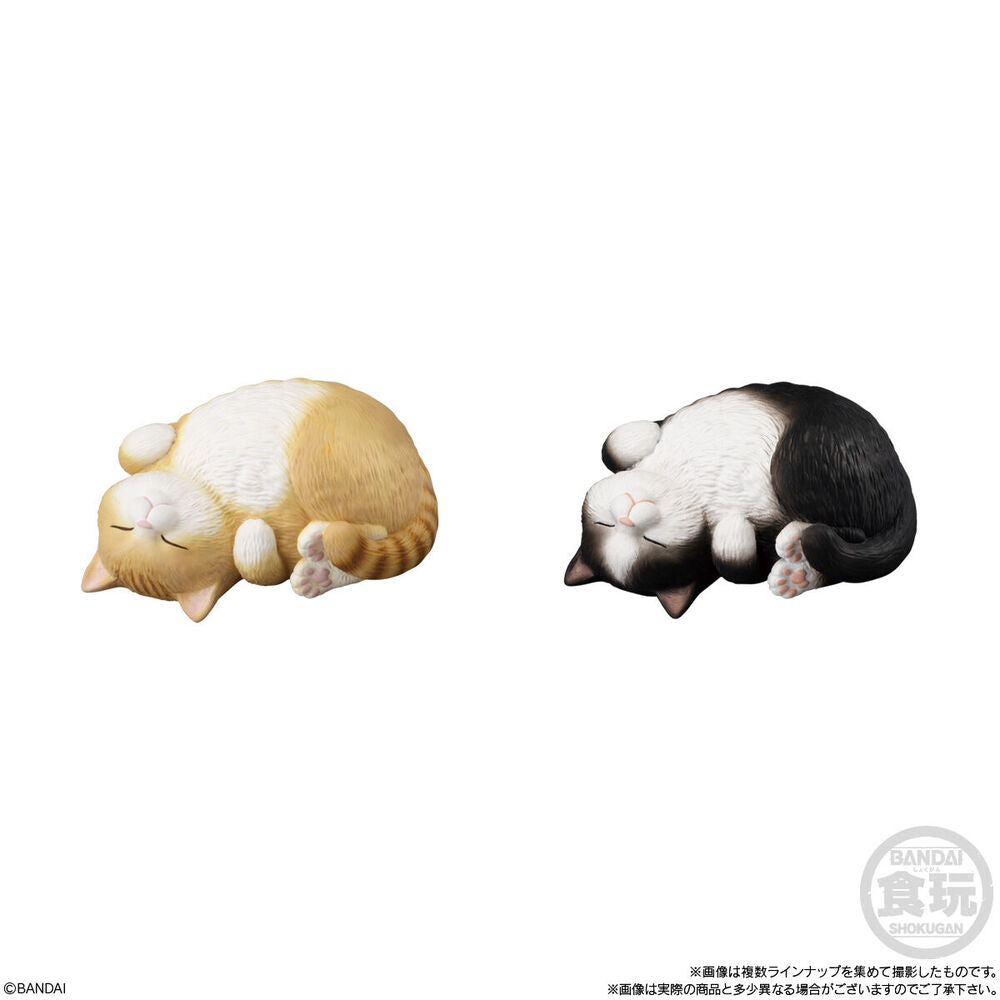 Figuras Mocchiri Kororin de gatos regordetes en varios colores - 6