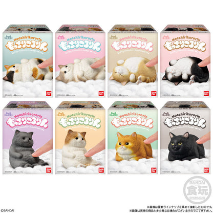 Figuras Mocchiri Kororin de gatos regordetes en varios colores
